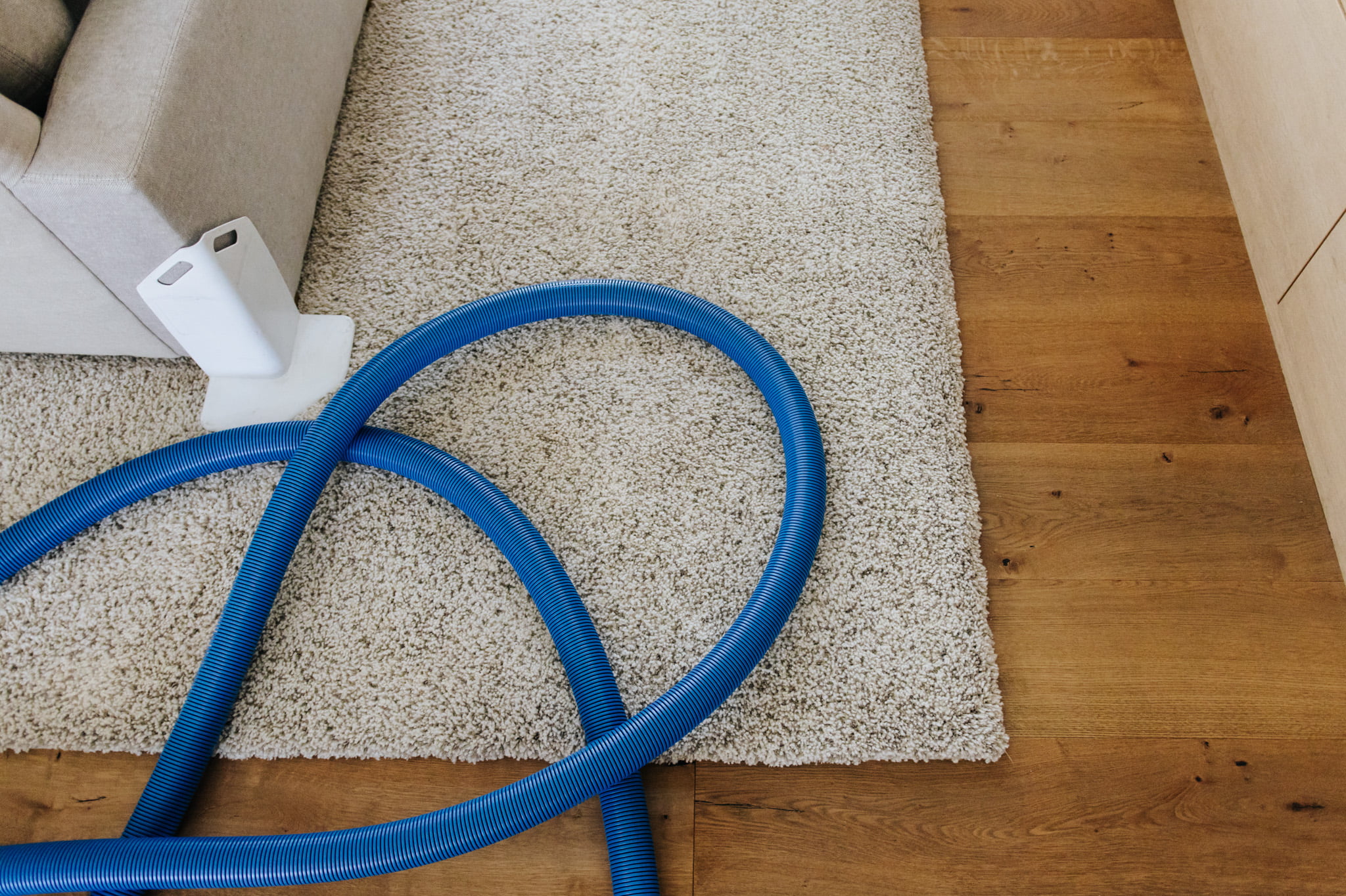 rug cleaning hose resting on rug