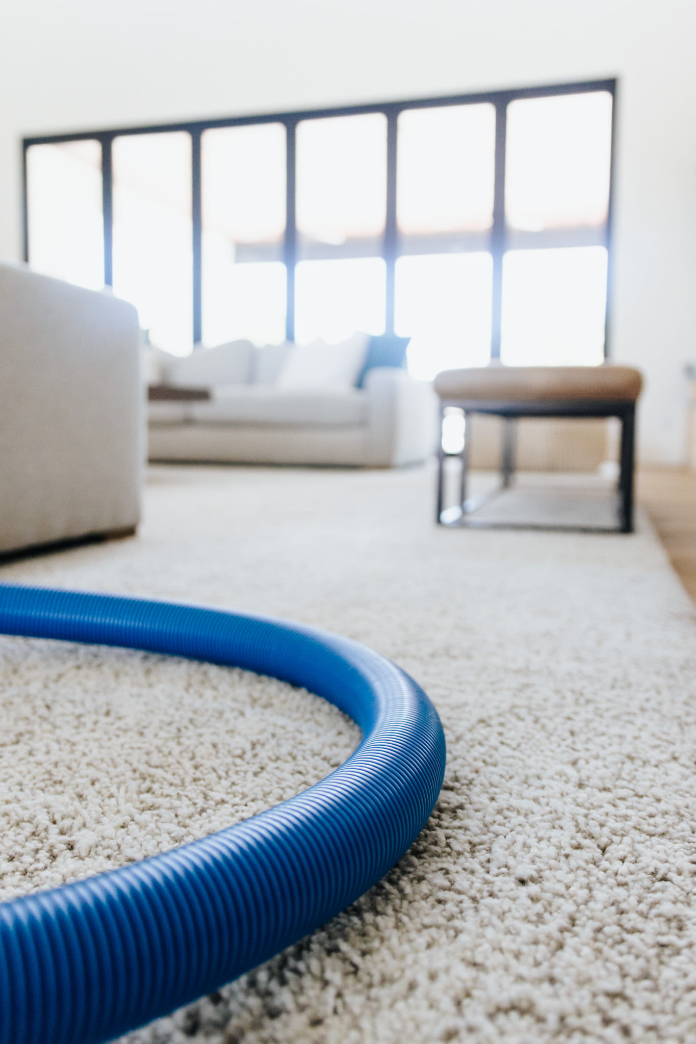 Blue hose resting on carpet in living room.