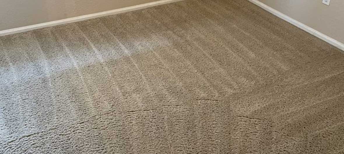 Best Carpet Cleaning Company In Phoenix Az Coconut