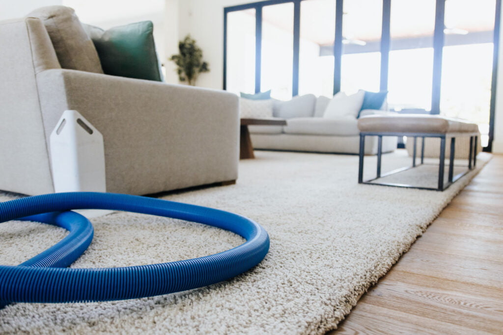 Carpet cleaning Phoenix