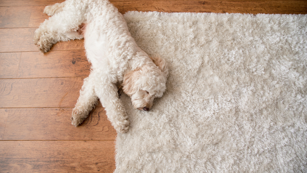 Reviving Your Rugs- Tips for Proper Rug Cleaning and Maintenance