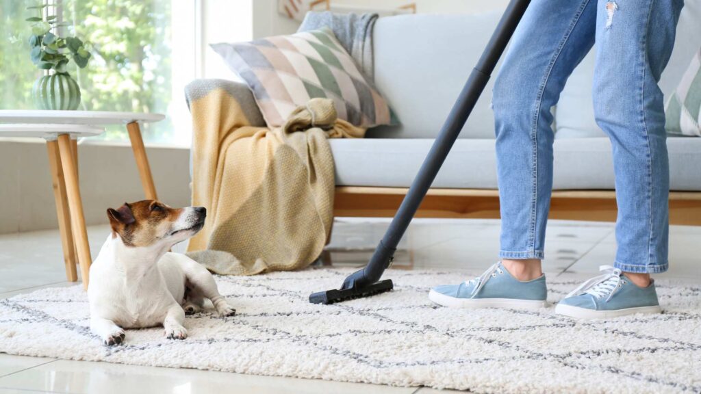 Cleaning Tips for Pet Owners Keeping Your Home Fresh and Fur-Free