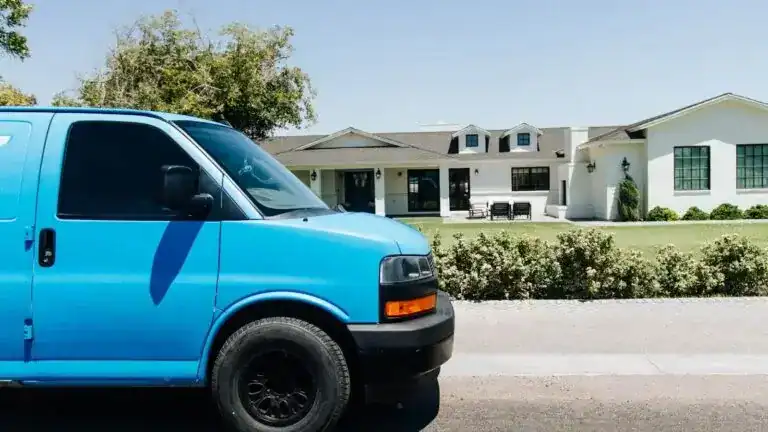 deep clean your carpets with coconut cleaning
