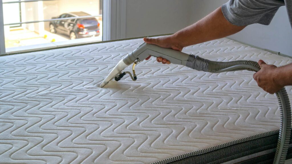 Person deep cleaning mattress.