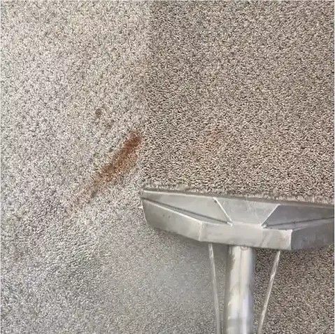 Coconut Cleaning Real Carpet Cleaning Results in Arizona Coconut Cleaning Real Carpet Cleaning Results in Arizona