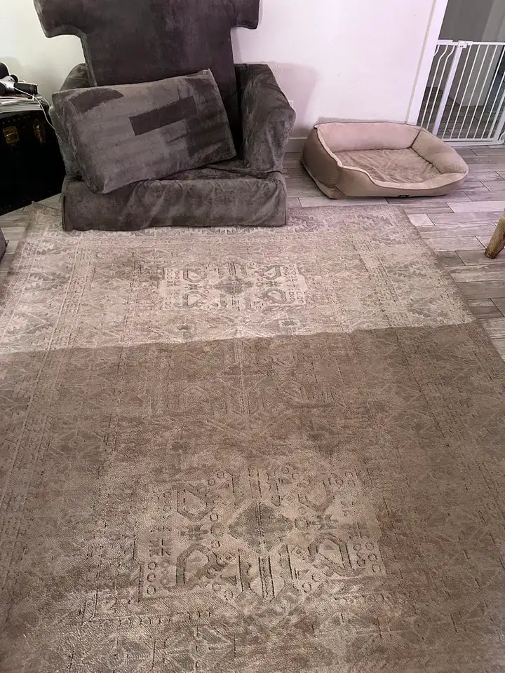 rugCleanSatisfying rugCleanSatisfying
