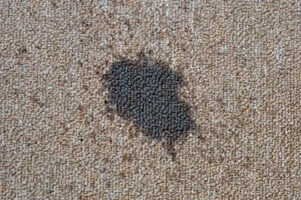 carpet with oil stain