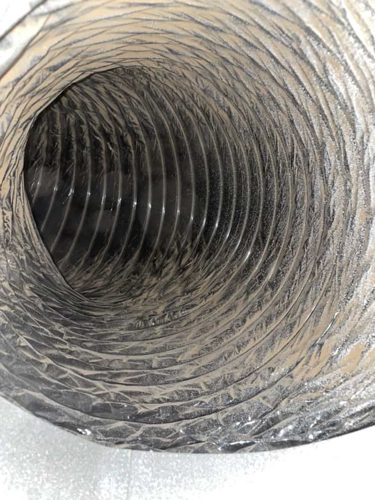 dirty dryer vent