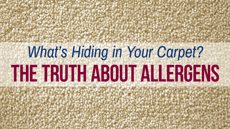 does carpet hold allergens