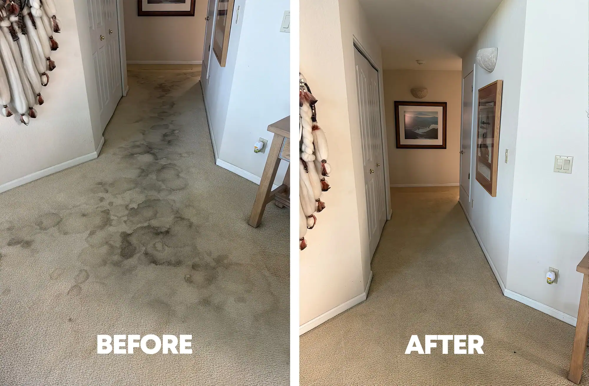 Residential carpet cleaning before and after in a Chandler, AZ hallway — heavy staining removed from light beige carpet