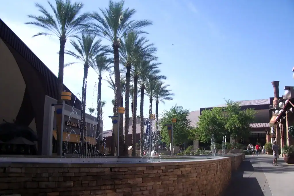 Coconut Cleaning Service Area – Chandler, AZ Palm-lined shopping plaza in Chandler, AZ