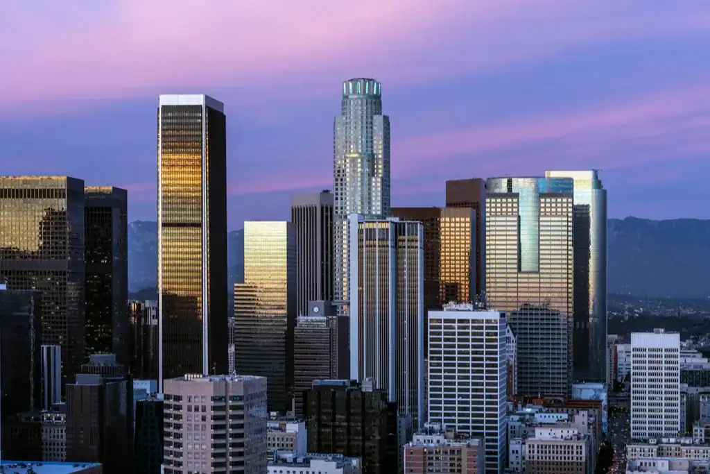 Coconut Cleaning Service Area - California Downtown Los Angeles skyline with mountains behind, California