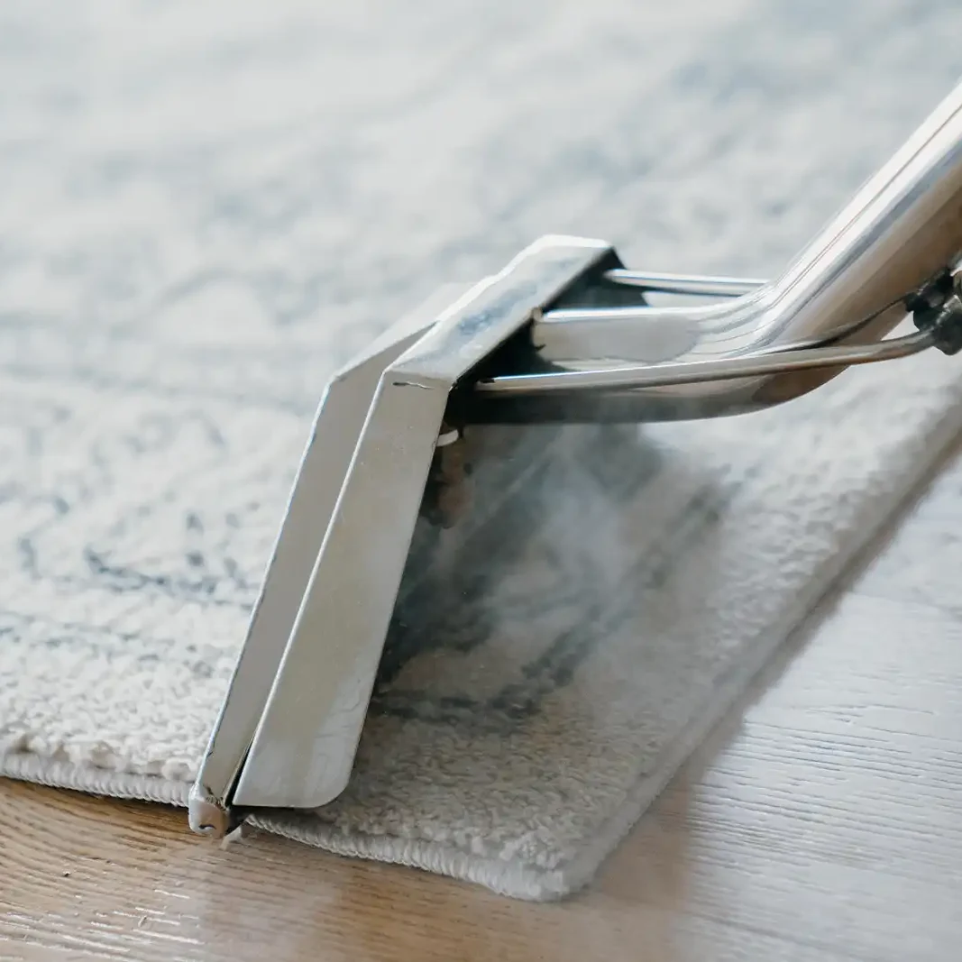 rug cleaning services