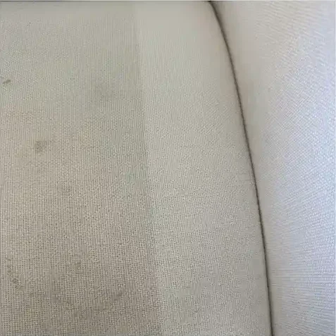 Coconut Cleaning Real Carpet Cleaning Results in Arizona