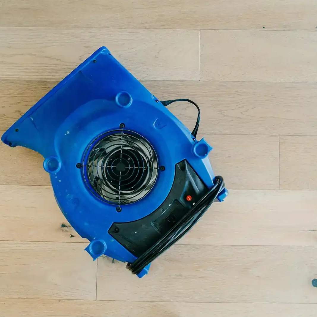 Cleaning wood Floors