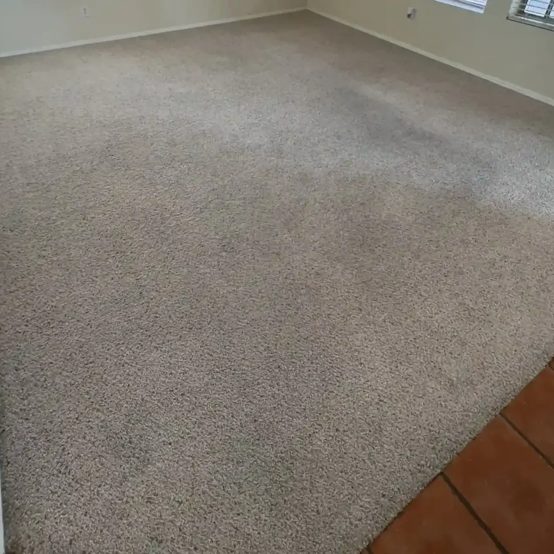 aftercoconutcarpetclean aftercoconutcarpetclean