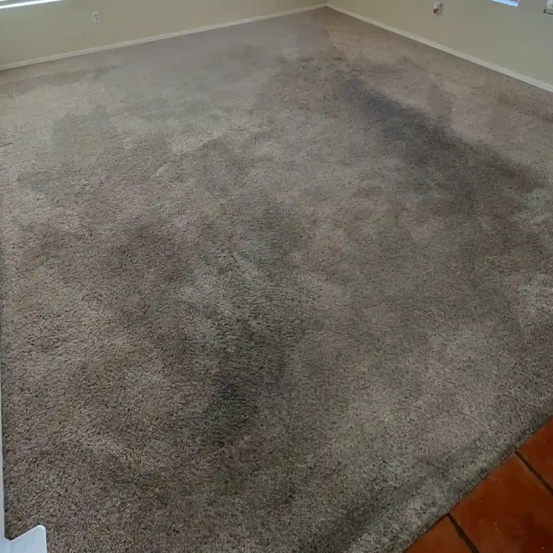 beforehavingdirtycarpet beforehavingdirtycarpet