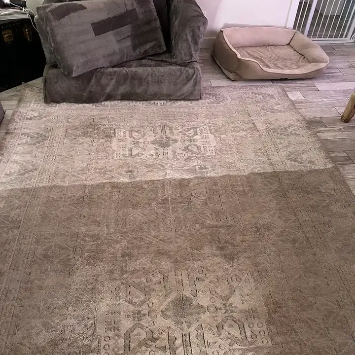 rug cleaned with eco-friendly products