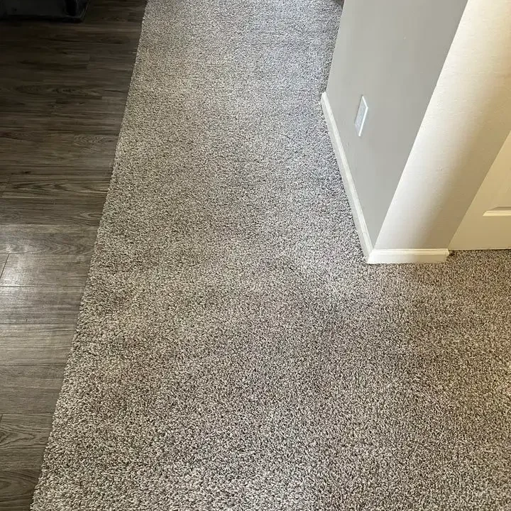 stained carpet after carpet stain remover
